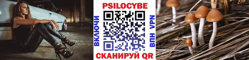 Галлюциногенные грибы Cubensis  даркнет сайт  Зверево 